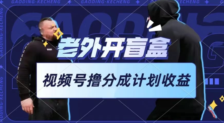 老外开盲盒视频,撸视频号分成计划收益,每天只需一小时,新手小白轻松上手【揭秘】-风淘社