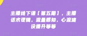 主播线下课【第五期】，主播话术逻辑，流量感知，心流建设提升等等-风淘社