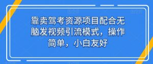 靠卖驾考资源项目配合无脑发视频引流模式，操作简单，小白友好【揭秘】-风淘社