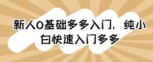 新人0基础多多入门,纯小白快速入门多多-风淘社