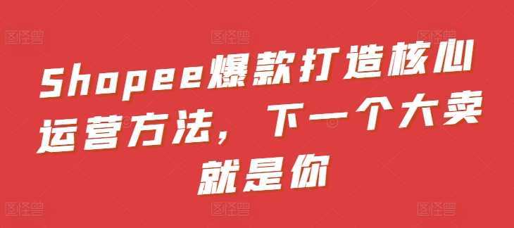 Shopee爆款打造核心运营方法,下一个大卖就是你-风淘社