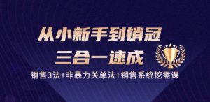 从小新手到销冠 三合一速成:销售3法+非暴力关单法+销售系统挖需课 (27节)-风淘社