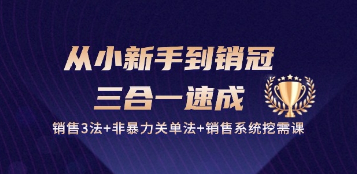 从小新手到销冠 三合一速成:销售3法+非暴力关单法+销售系统挖需课 (27节)-风淘社
