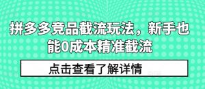 拼多多竞品截流玩法,新手也能0成本精准截流-风淘社