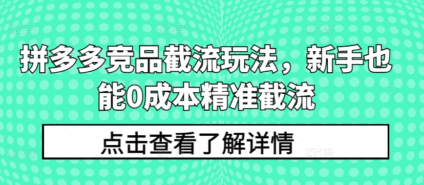 拼多多竞品截流玩法,新手也能0成本精准截流-风淘社