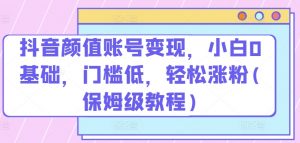 抖音颜值账号变现,小白0基础,门槛低,轻松涨粉(保姆级教程)【揭秘】-风淘社
