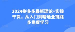 2024拼多多最新理论+实操干货，从入门到精通全链路多角度学习-风淘社