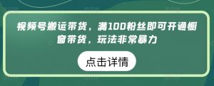 视频号搬运带货,满100粉丝即可开通橱窗带货,玩法非常暴力【揭秘】-风淘社