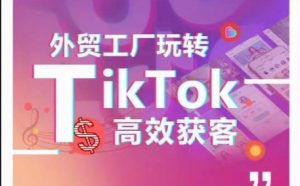 外贸工厂玩转TikTok高效获客，多种引流方式与账号定位技巧，拆解爆款短视频打造成功案例-风淘社