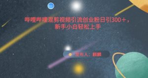 哔哩哔哩混剪视频引流创业粉日引300+，新手小白轻松上手【揭秘】-风淘社
