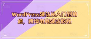 WordPress建站从入门到精通,跨境电商建站教程-风淘社