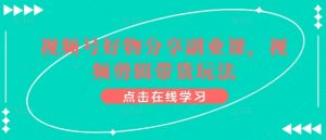 视频号好物分享副业课，视频剪辑带货玩法-风淘社