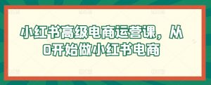 小红书高级电商运营课,从0开始做小红书电商-风淘社