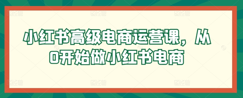 小红书高级电商运营课,从0开始做小红书电商-风淘社