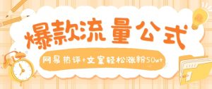 爆款流量公式，网易热评+文案轻松涨粉50w+【揭秘】-风淘社