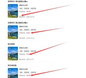 磁力聚星游戏副业陪跑训练营1.0，长期稳定项目，有人一周干了1K+-风淘社