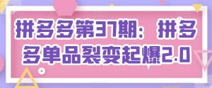 拼多多第37期:拼多多单品裂变起爆2.0-风淘社