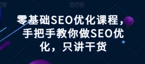 零基础SEO优化课程，手把手教你做SEO优化，只讲干货-风淘社