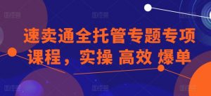 速卖通全托管专题专项课程,实操 高效 爆单-风淘社