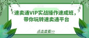 速卖通VIP实战操作速成班,带你玩转速卖通平台-风淘社