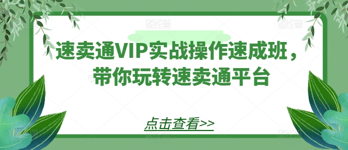 速卖通VIP实战操作速成班,带你玩转速卖通平台-风淘社