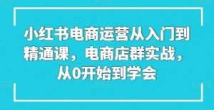 小红书电商运营从入门到精通课，电商店群实战，从0开始到学会-风淘社
