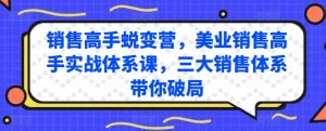 销售高手蜕变营,美业销售高手实战体系课,三大销售体系带你破局-风淘社