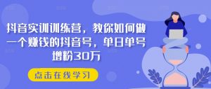 抖音实训训练营,教你如何做一个赚钱的抖音号,单日单号增粉30万-风淘社