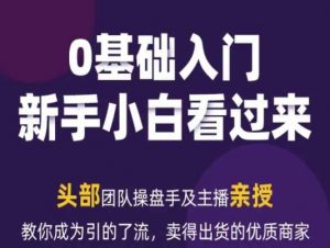 2024年新媒体流量变现运营笔记，教你成为引的了流，卖得出货的优质商家-风淘社