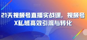 21天视频号直播实战课,视频号X私域高效引流与转化-风淘社