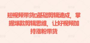 短视频带货0基础剪辑速成,掌握爆款剪辑思维,让好视频加持涨粉带货-风淘社