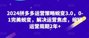2024拼多多运营策略蜕变3.0，0-1完美蜕变，解决运营焦虑，缩短运营周期2年+-风淘社