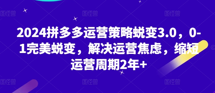 2024拼多多运营策略蜕变3.0,0-1完美蜕变,解决运营焦虑,缩短运营周期2年+-风淘社