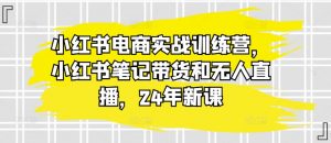 小红书电商实战训练营,小红书笔记带货和无人直播,24年新课-风淘社