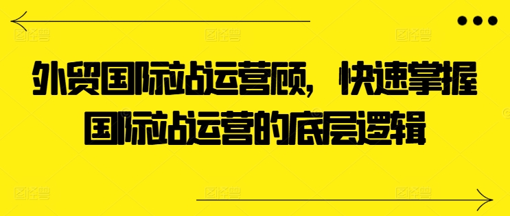 外贸国际站运营顾问,快速掌握国际站运营的底层逻辑-风淘社
