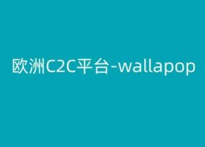 欧洲C2C平台-wallapop-kim跨境电商教程-风淘社