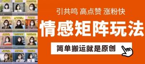 简单搬运，情感矩阵玩法，涨粉速度快，可带货，可起号【揭秘】-风淘社