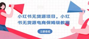 小红书无货源项目,小红书无货源电商保姆级教程【揭秘】-风淘社