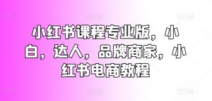 小红书课程专业版,小白,达人,品牌商家,小红书电商教程-风淘社