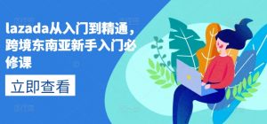 lazada从入门到精通,跨境东南亚新手入门必修课-风淘社