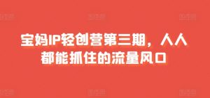 宝妈IP轻创营第三期,人人都能抓住的流量风口-风淘社