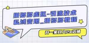 拼多多虚拟-引流技术与私域变现_拼多多教程:开一家月入2w店铺-风淘社