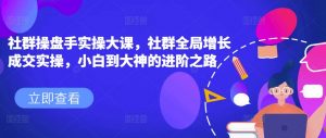 社群操盘手实操大课，社群全局增长成交实操，小白到大神的进阶之路-风淘社