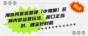 海外内容运营课【中视频】多种内容运营玩法,风口正当时,掘金好时机-风淘社