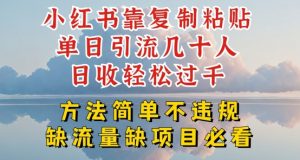 小红书靠复制粘贴单日引流几十人目收轻松过千，方法简单不违规【揭秘】-风淘社