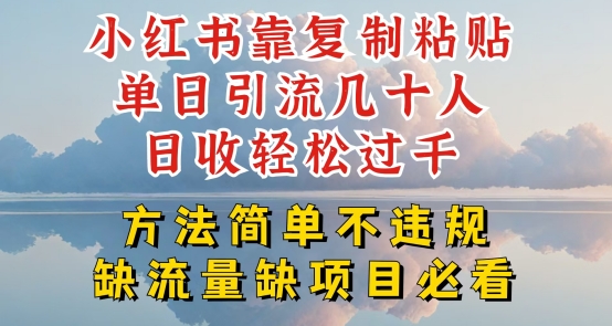 小红书靠复制粘贴单日引流几十人目收轻松过千，方法简单不违规【揭秘】-风淘社
