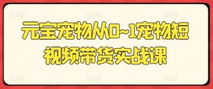 元宝宠物从0~1宠物短视频带货实战课-风淘社