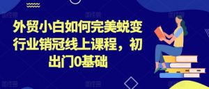 外贸小白如何完美蜕变行业销冠线上课程,初出门0基础-风淘社