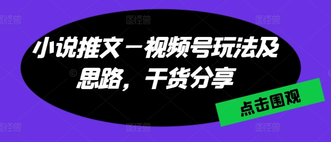 小说推文—视频号玩法及思路，干货分享-风淘社