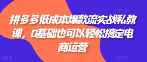 拼多多低成本爆款流实战私教课，0基础也可以轻松搞定电商运营-风淘社